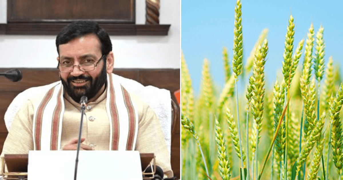 CM Nayab Singh Saini Prioritises Assured MSP Procurement and Farmer Convenience Ahead of Rabi Season