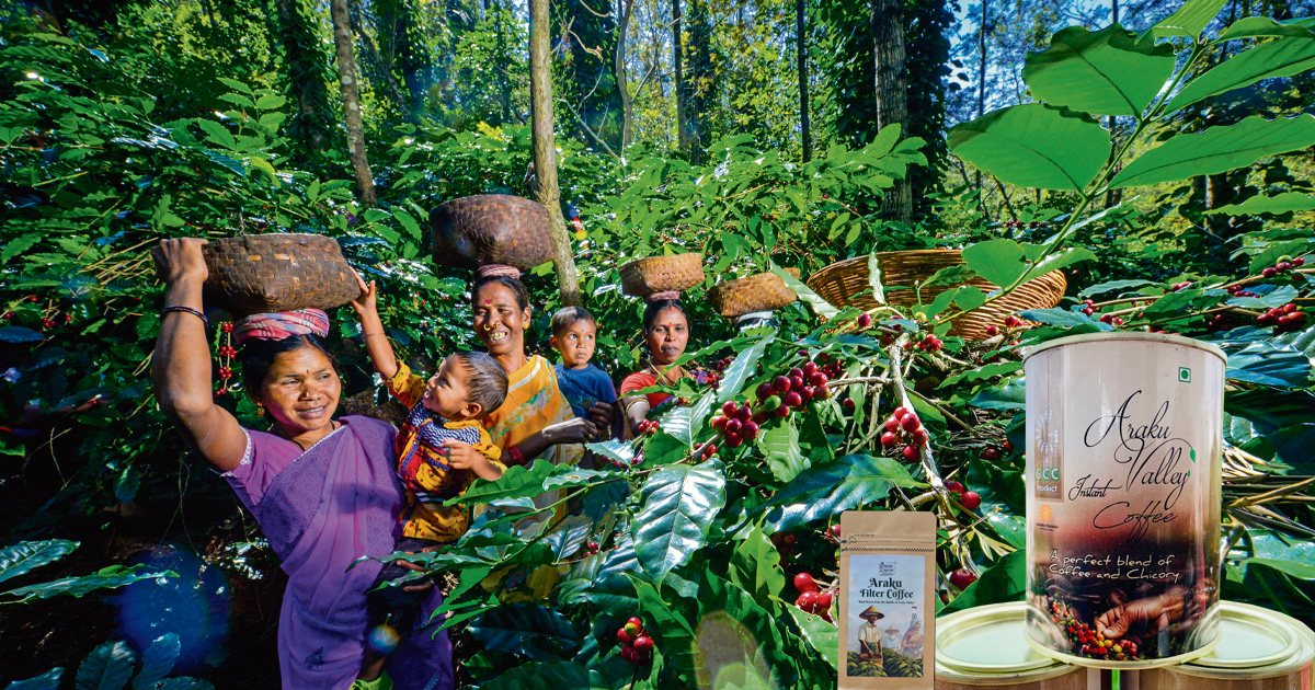 The Coffee That Changed Laxmi’s Life: A Story from Araku Valley