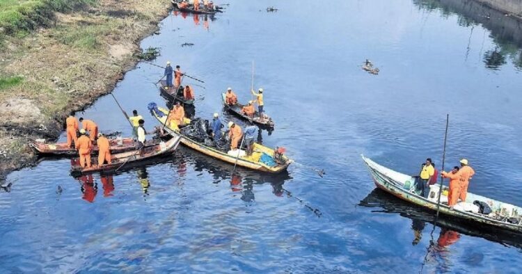 Ennore Creek Oil Spill: Mangrove Restoration Begins in Tamil Nadu