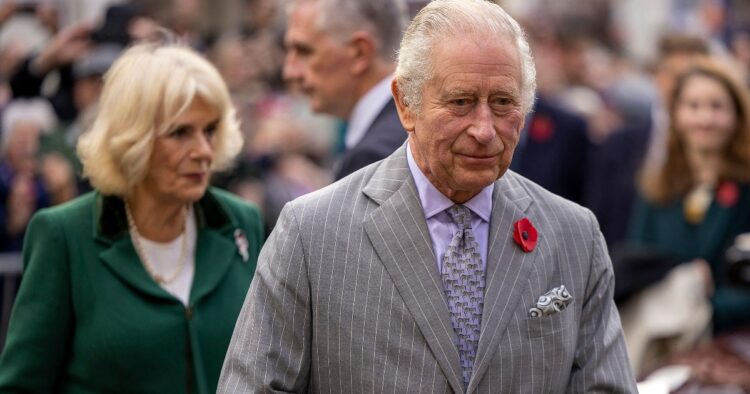 King Charles Enforces No-Selfie Rule to Shield Senior Royals