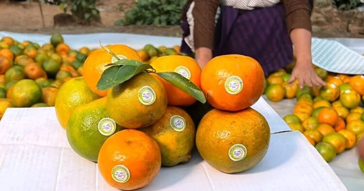 Meghalaya exports 20 MT Khasi Mandarin oranges to Dubai