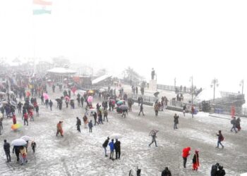 Tourists Flock to Shimla for Year-End Festivities, Disappointed by Lack of Snowfall