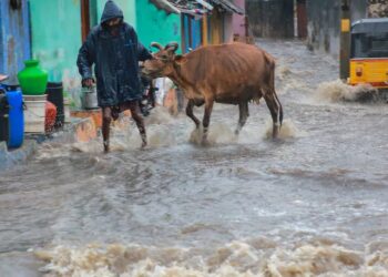 Torrential Rain in South Tamil Nadu Disrupts Lives and Train Services