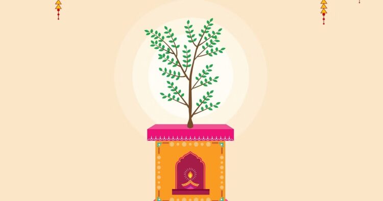 Tulsi Pujan Diwas 2023: Date, Time, Rituals, and Why It's Special