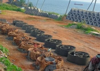 Gujarat Greenlights 25 Artificial Reefs for Boosting Fish Breeding