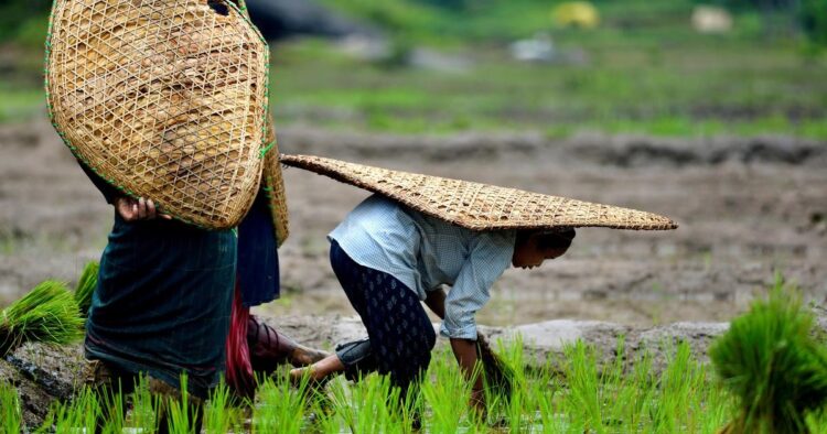 Arunachal Pradesh emerging as key player in Asia-Pacific region, shift from jhum to settled agriculture