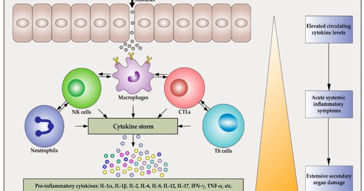 Breakthrough Treatment Unveiled for Dangerous Cytokine Storm