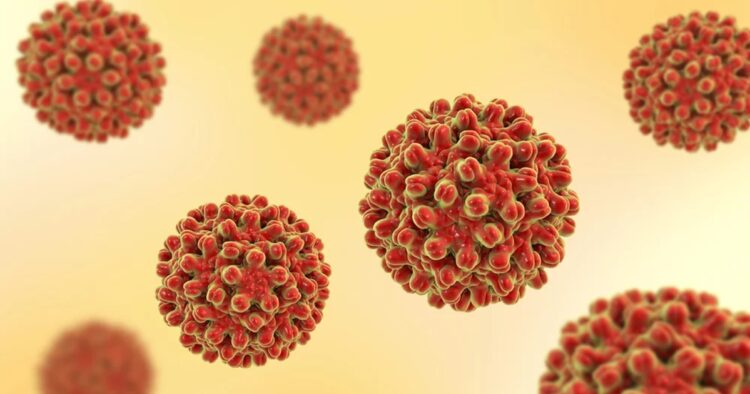 Maldives and Sri Lanka Successfully Control Hepatitis B, WHO Confirms