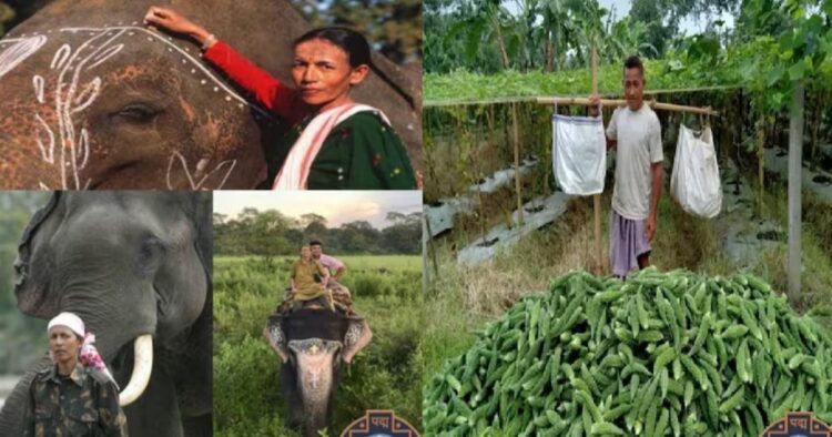 Padma Awards: First female elephant mahout Parbati Baruah & two others honoured from Assam