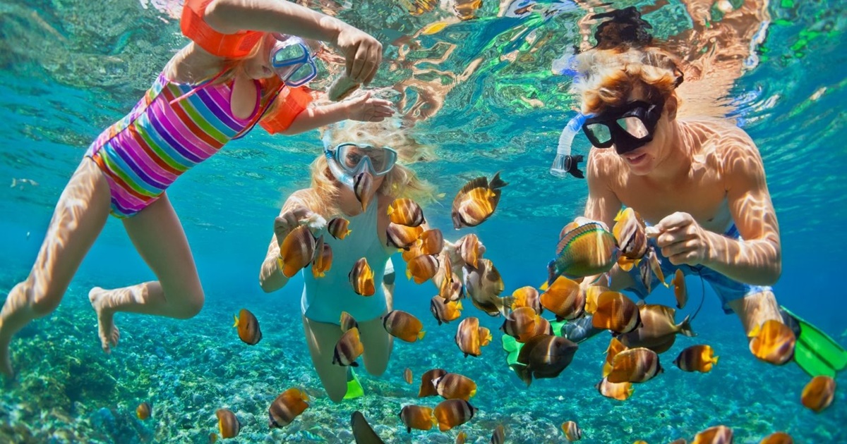 Snorkeling at Agatti Island