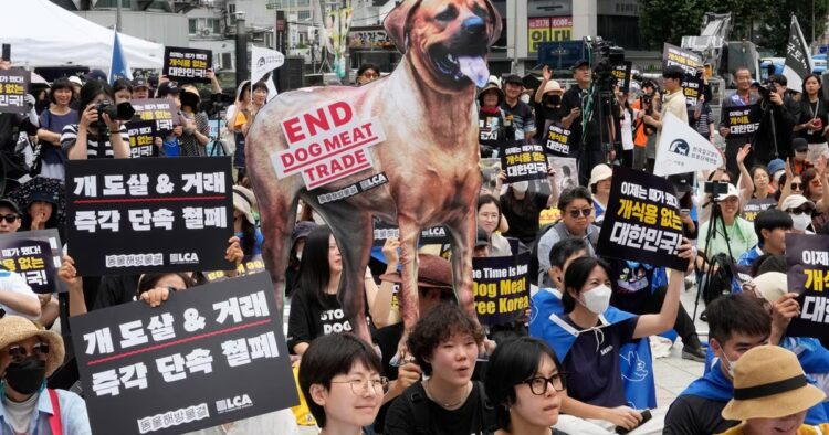 South Korea Bans Dog Meat: Landmark Bill Passes to End Sale and Consumption