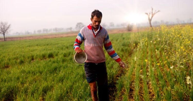 Cabinet Gives Green Light to 'Urea Gold': New Eco-Friendly Fertilizer Set to Transform Agriculture