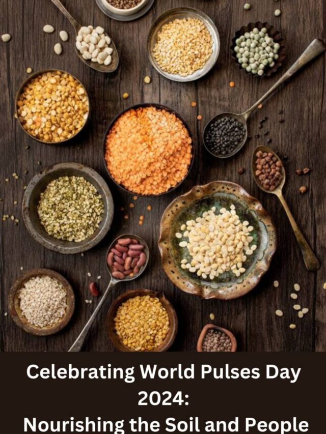 Celebrating World Pulses Day 2024: Nourishing the Soil and People