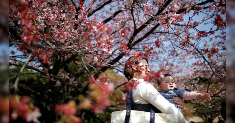 Japan's Population Shrinks Significantly in 2023, Births Hit Record Low