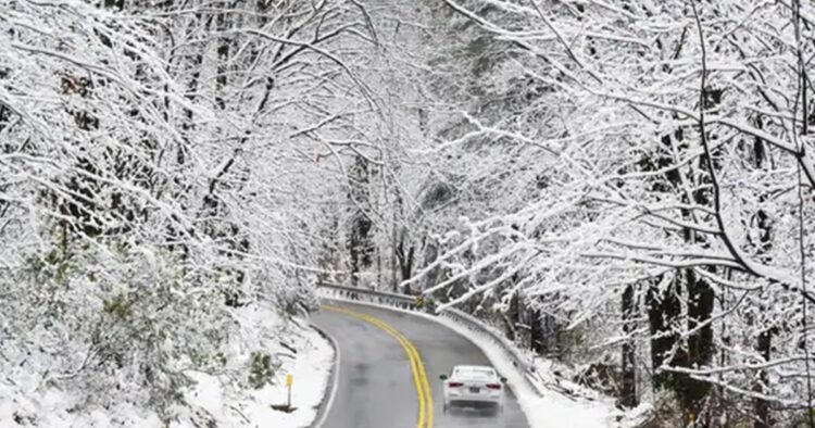 Northeast Winter Storm: 1 Dead, 1000+ Flights Cancelled