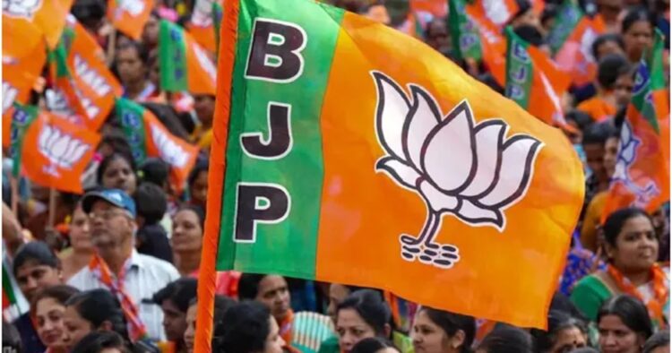 BJP's Pre-Lok Sabha Poll Shuffle: Another CM Replaced