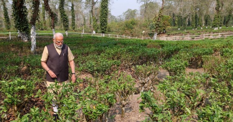 PM Modi promotes Assam’s tourism during tour to lush green tea estate