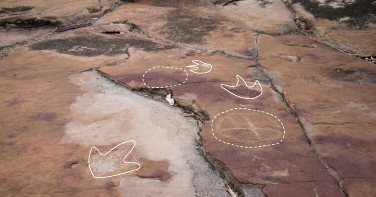 In Brazil prehistoric humans carved drawings in the rock next to dinosaur footprints, which suggest that they might have found them meaningful, according to the new study.