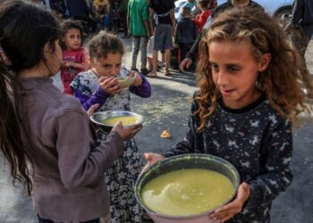 US Criticizes Israeli Aid Measures for Gaza, Calls for Further Action