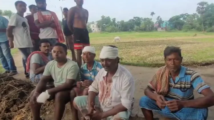 Incidents of violence were reported as seven Parliamentary constituencies went to polls in West Bengal in the fifth phase of Lok Sabha elections today.