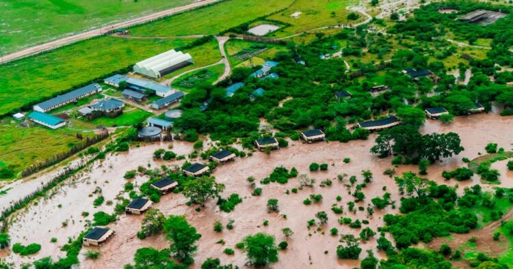 Tourists Stranded in Kenya's Maasai Mara Game Reserve Amid Devastating Floods