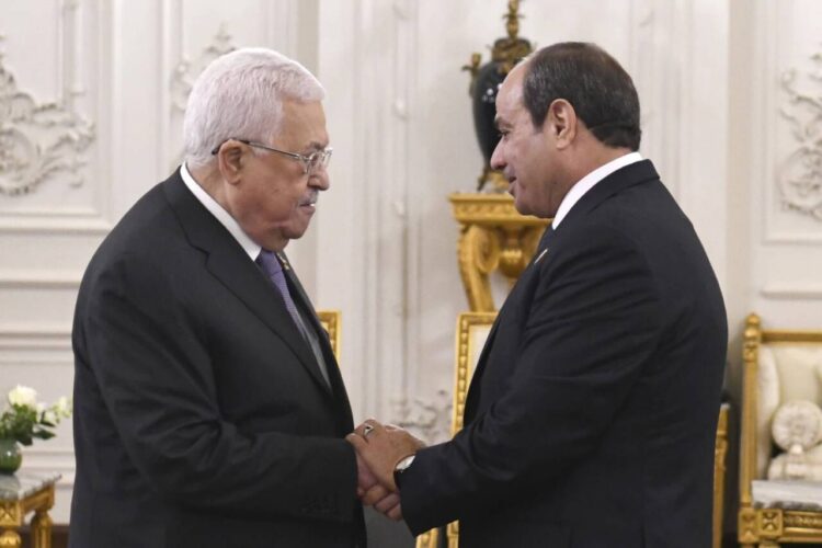 Egypt is "making every effort to reach a comprehensive truce,
