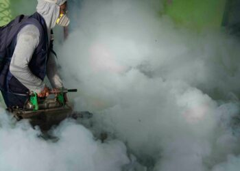 WHO Approves Second Dengue Vaccine Amid Americas Outbreaks: Key Milestone in Global Health
