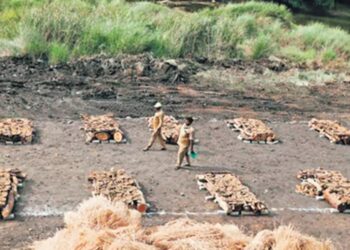 The death toll in the Tamil Nadu Hooch tragedy has risen to 56, according to district administration's report released on Sunday.