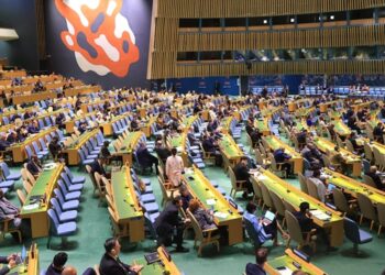 Pakistan, Panama, Somalia, Denmark, and Greece Elected as Non-Permanent Members of UN Security Council 2025-2026