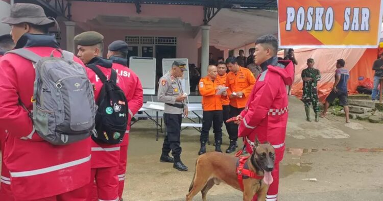 A landslide triggered by torrential rains crashed onto an unauthorized gold mining operation on Indonesia’s Sulawesi island, killing at least 11 people, said the officials.