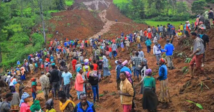 On Wednesday rescuers aided by drones were continuing a search for possible survivors of devastating landslides in an isolated area of southern Ethiopia that have claimed the lives of at least 229 people.