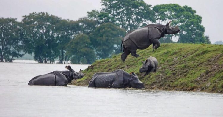 The flood situation in Assam's Kaziranga National Park is still critical as 75 per cent of forest camps of the national park are underwater.