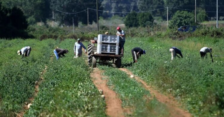 Italian police free 33 Indian farm labourers from ‘slavery’