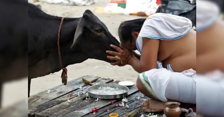 Ahead of the Jain festival Paryushan Parva, the Bombay High Court has directed civic bodies across Maharashtra to consider urgently consider ban on animal slaughter and the sale of meat from August 31 to September 7, 2024.