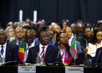 US lawmaker introduces bill to counter China's 'negative' environmental impacts in African countries