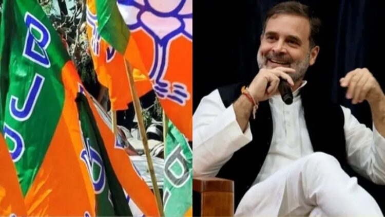 Launching an attack on Congress leader Rahul Gandhi , Bharatiya Janata Party said that Lok Sabha's Leader of Opposition stands with China and not India, calling him a 'black spot' on Indian democracy