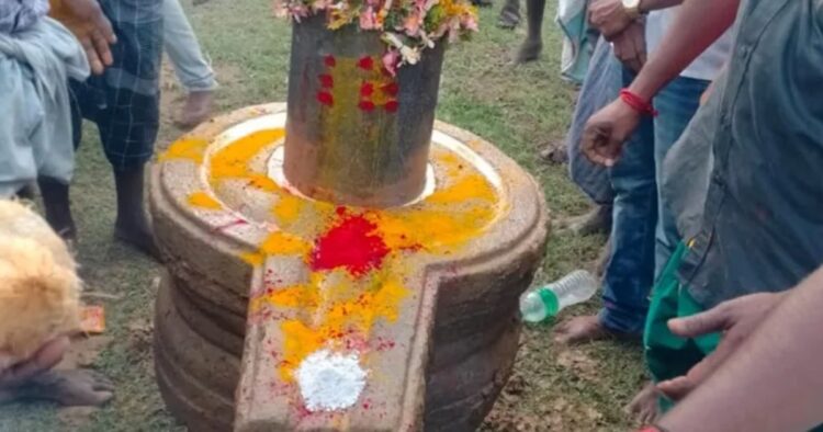 Residents of Melapulavankadu village in Tamil Nadu’s Pudukottai district unearthed a massive stone Shivling while desilting a tank on October 21