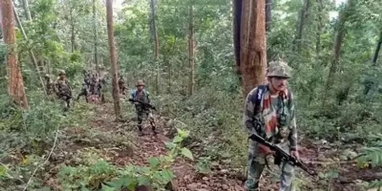 at least 12 Naxalites were killed in an encounter with security forces in Chhattisgarh 's Gariaband district