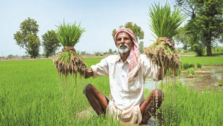 The state continues its paddy procurement drive for the current Kharif season