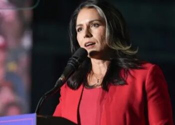 Tulsi Gabbard, stated that she has always turned to the Hindu scripture for guidance (PC: AP)