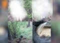 Infiltration Attack Foiled in Baramulla’s Uri; Two Terrorists Neutralized