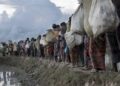 The Silent Invasion: Illegal Bangladeshi Migrants Are Changing India’s Demographics and Security Landscape